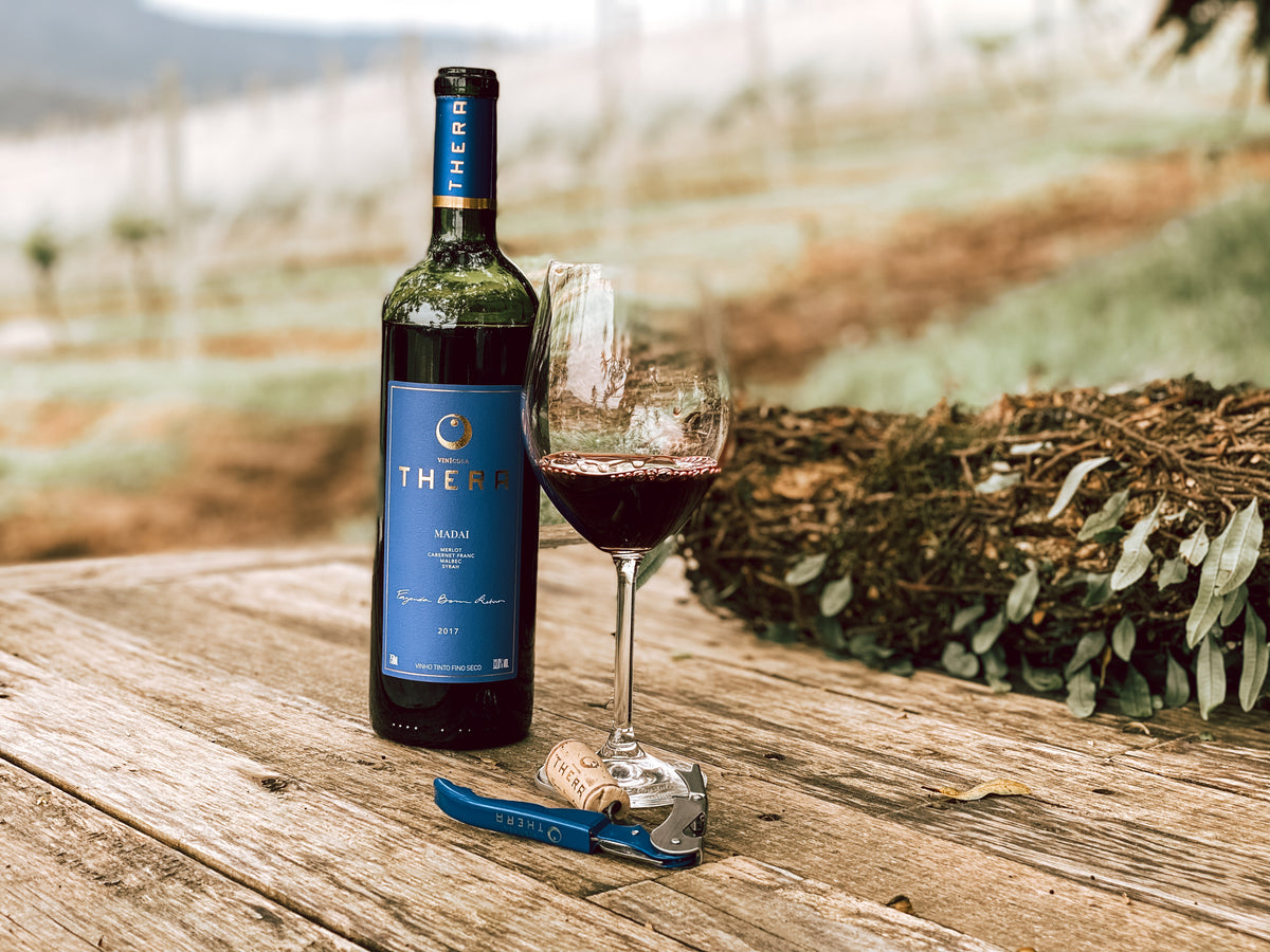Como contornar erros de principiante no mundo dos vinhos