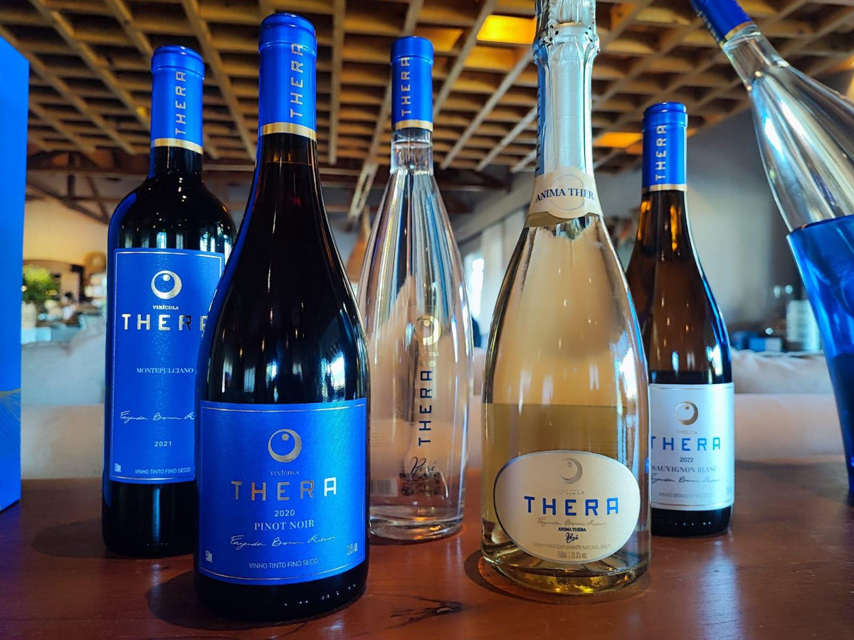 Primavera: uma seleção de vinhos para agradar todos os paladares