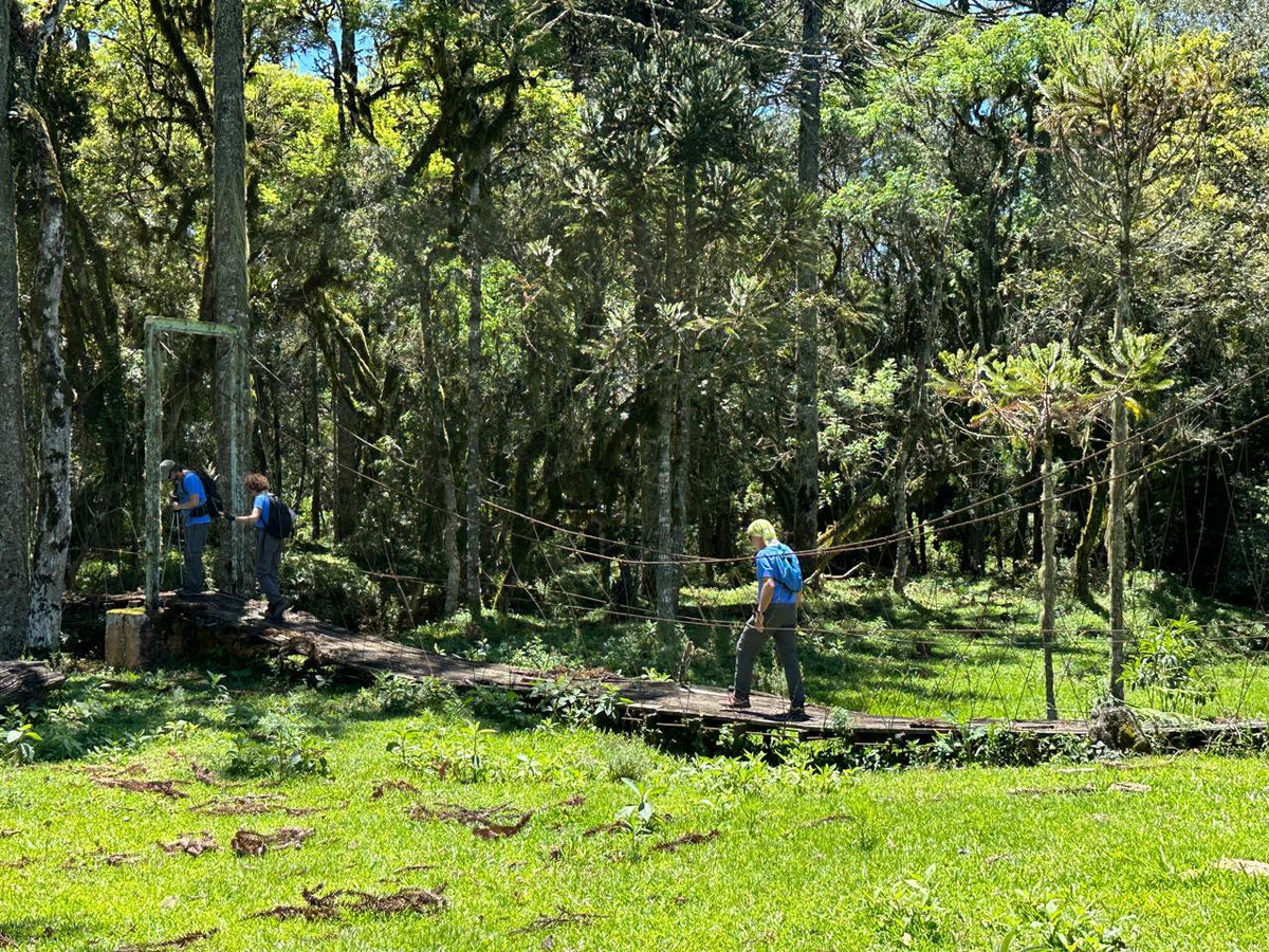 Vinícola Thera é destino de trekking inédito na Serra Catarinense