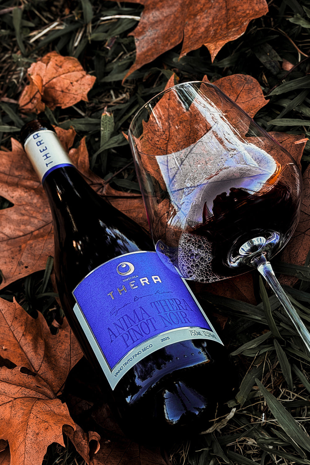 Anima Thera Pinot Noir 2025 – foto 2