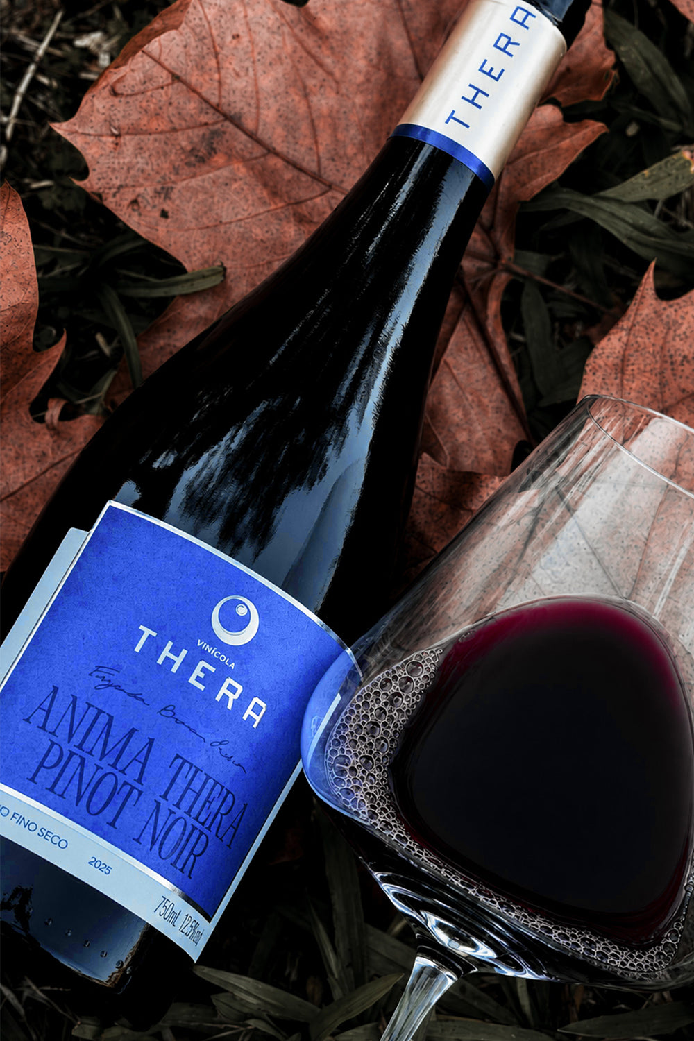 Anima Thera Pinot Noir 2025 – foto 4