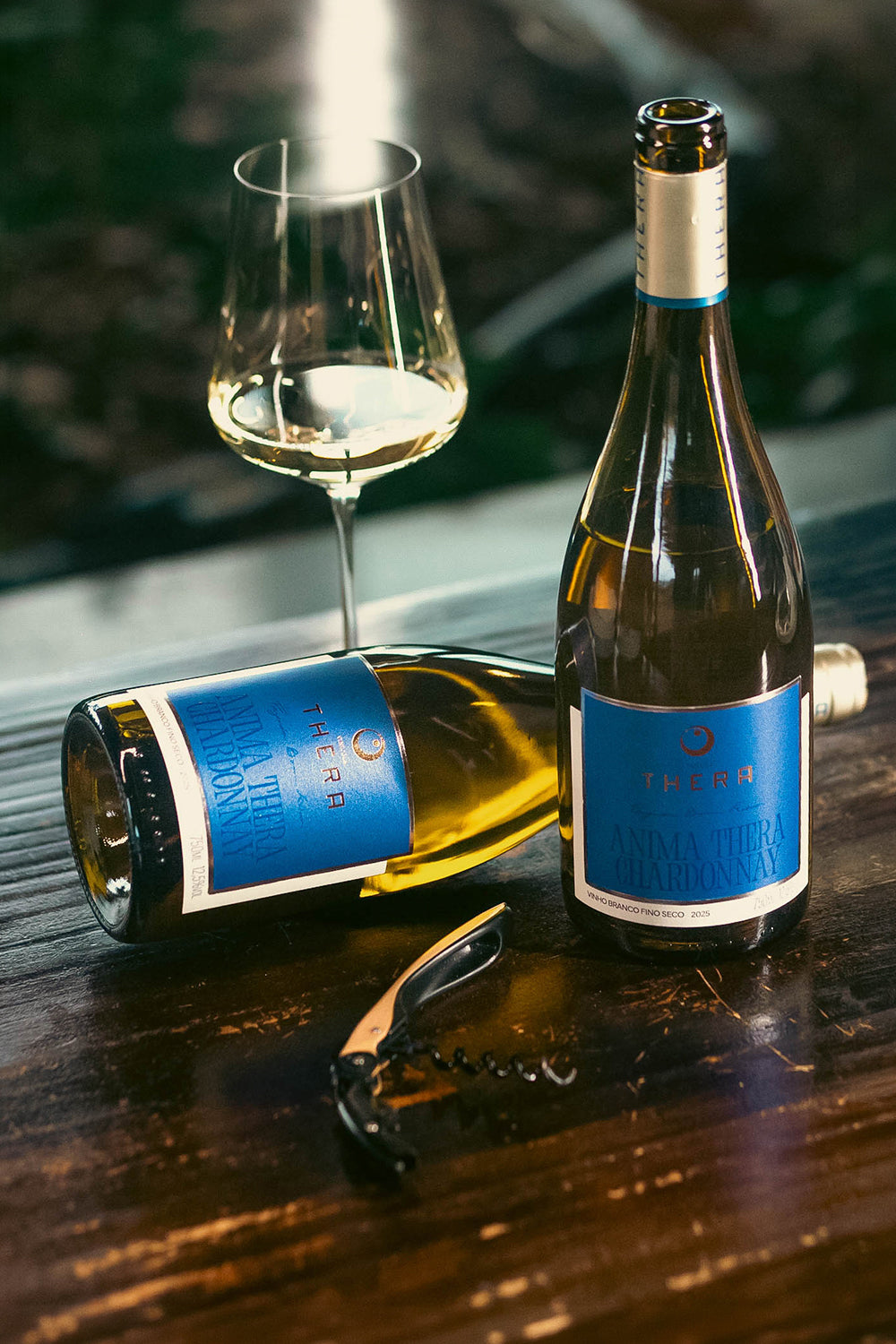 Anima Thera Chardonnay 2025 – foto 2