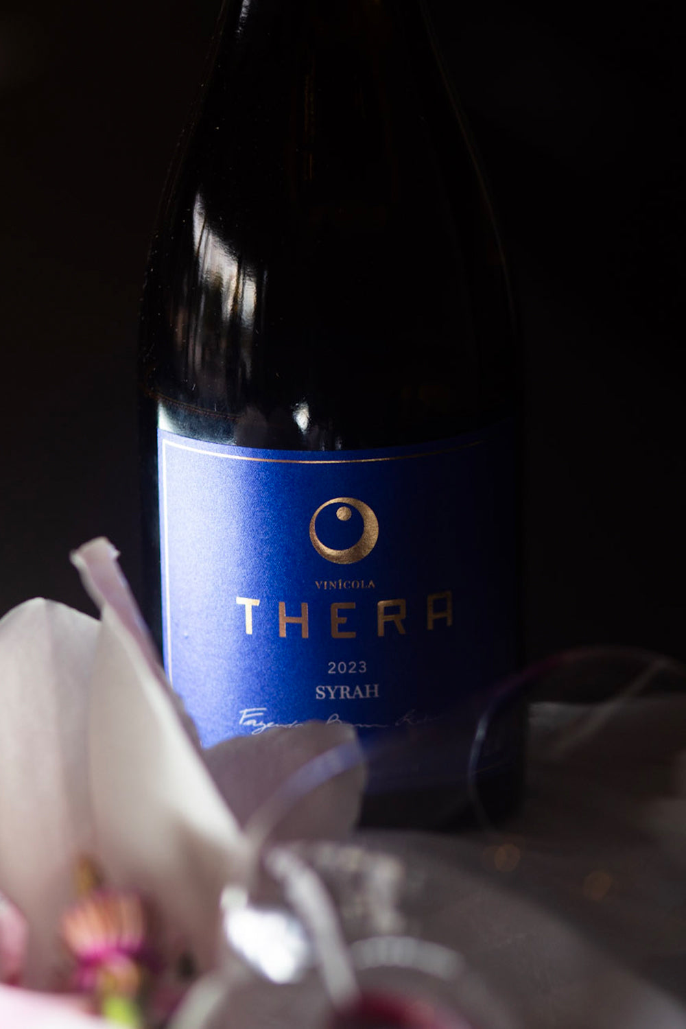 Thera Syrah 2023 – foto 5