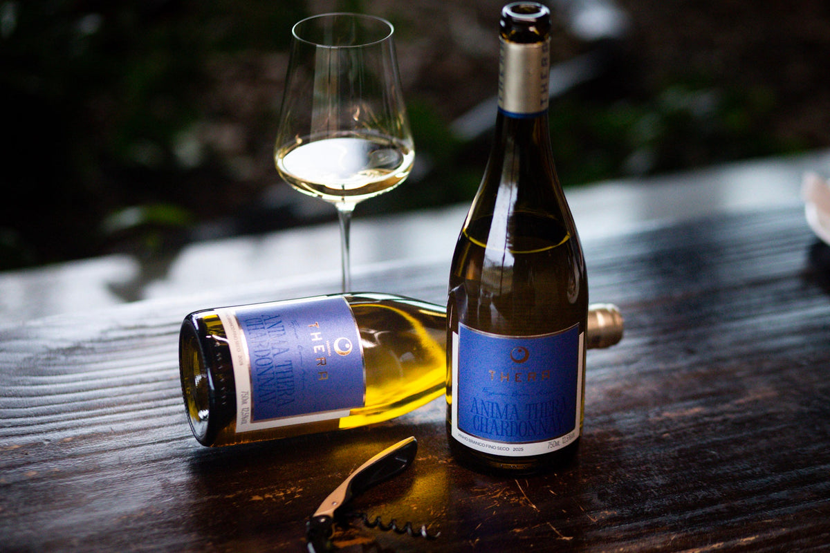 Anima Thera Chardonnay: novo vinho branco da Vinícola Thera para quem ama frescor, elegância e autenticidade