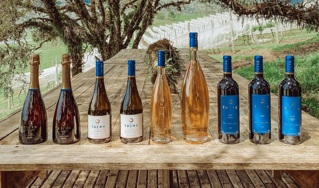Vinícola Thera conquista o Troféu Vinha Velha na categoria Revelação Mundus Vini