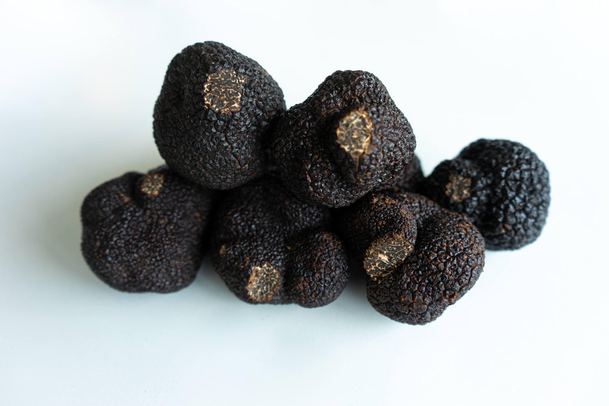 Trufas: o que são, de onde vem, como usá-las e harmonizá-las