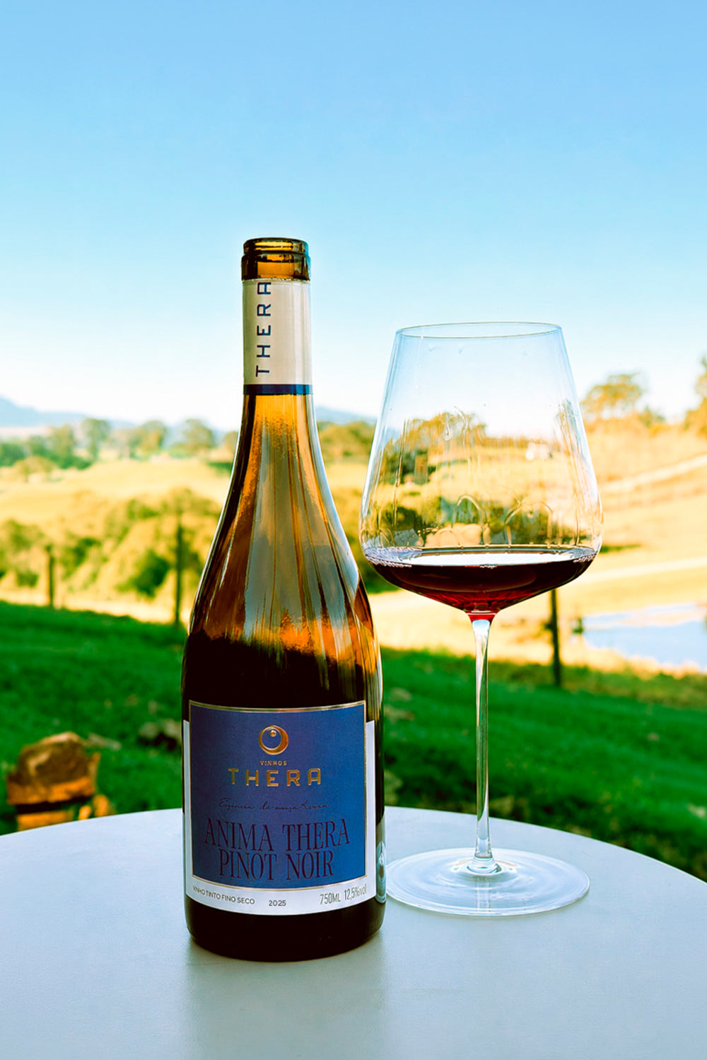 Anima Thera Pinot Noir 2025 – foto 3