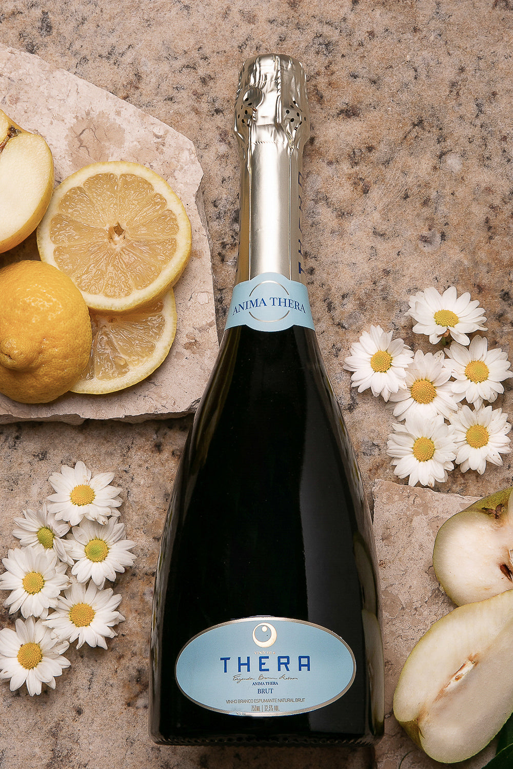 Thera Anima Brut – foto 4
