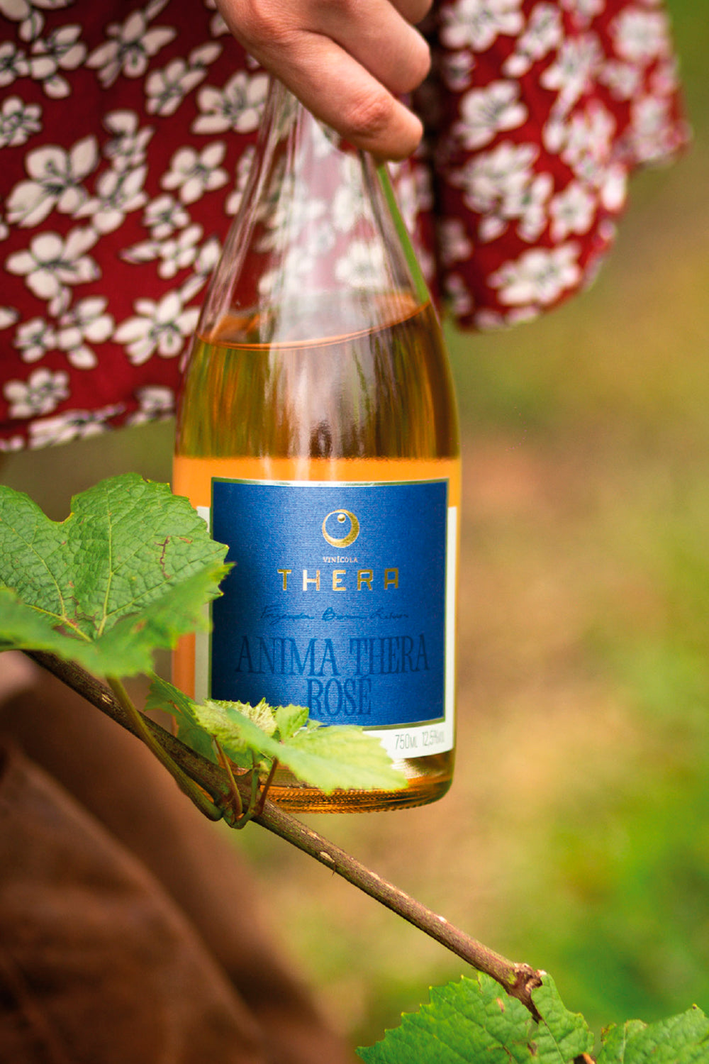 Anima Thera Rosé 2024 – foto 4
