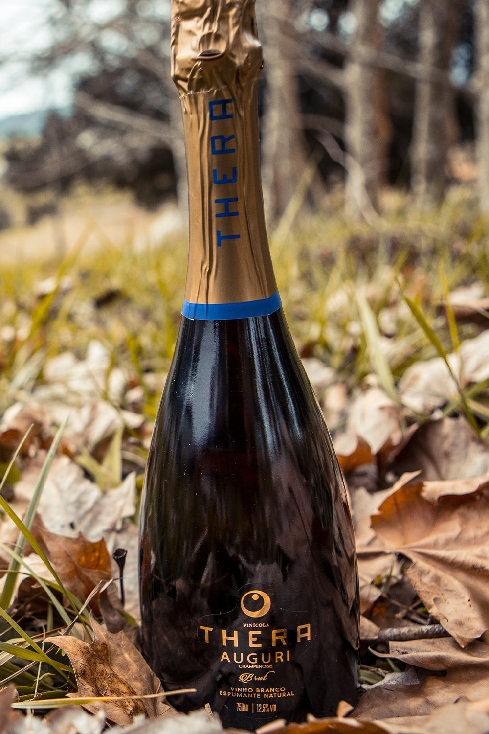Thera Auguri Champenoise Brut – foto 4