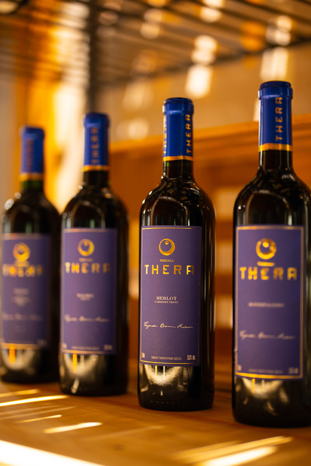 Thera Merlot 2023 – foto 4