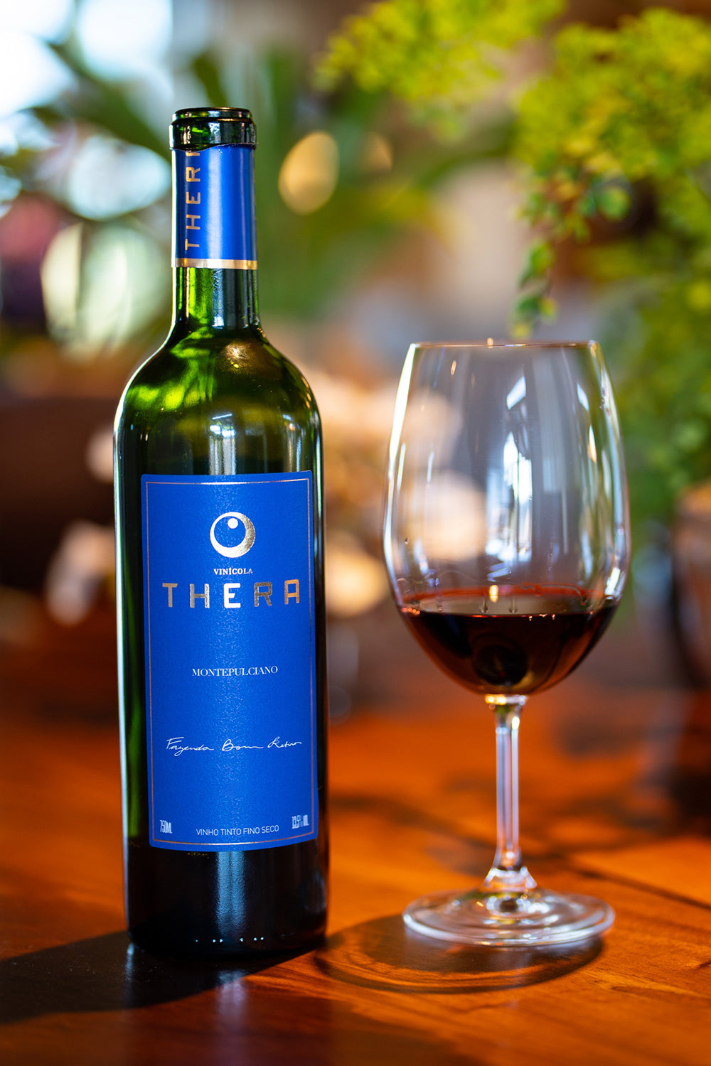 Thera Montepulciano 2023 – foto 4