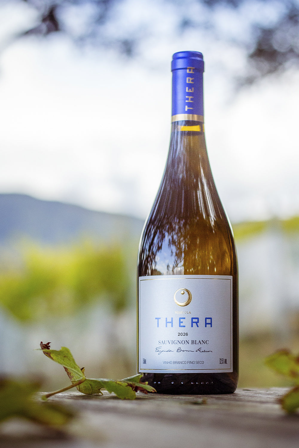Thera Sauvignon Blanc 2026 – foto 4